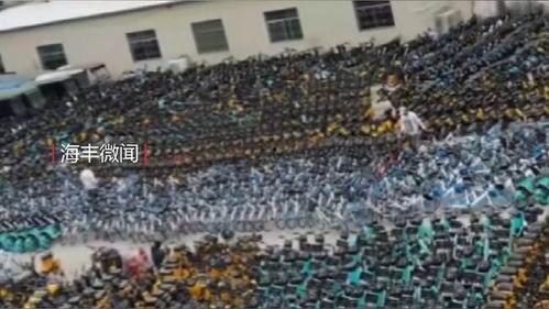 最新海丰爆料,揭秘背后惊人真相  第1张 最新海丰爆料,揭秘背后惊人真相  第1张