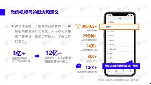 唐山酒吧爆料视频最新下载,最新下载揭露惊人内幕  第3张 唐山酒吧爆料视频最新下载,最新下载揭露惊人内幕  第3张