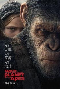 猩球崛起在线观看免费,重燃自由之战——在线免费观看,探索猿类革命传奇