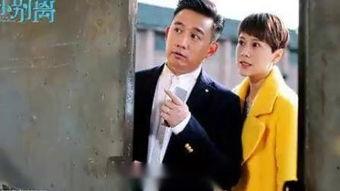 天涯爆料海清黄磊视频在线观看 第1张 天涯爆料海清黄磊视频在线观看 第1张